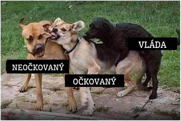 Obrázek vložený uživatelem