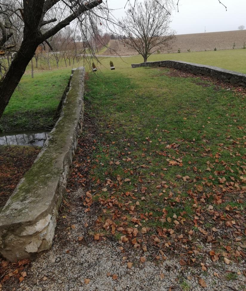Obrázek vložený uživatelem
