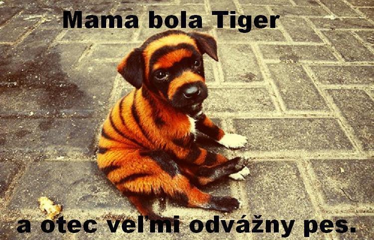 Obrázek vložený uživatelem