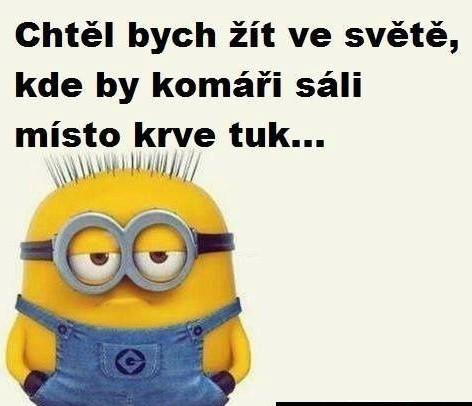 Obrázek vložený uživatelem