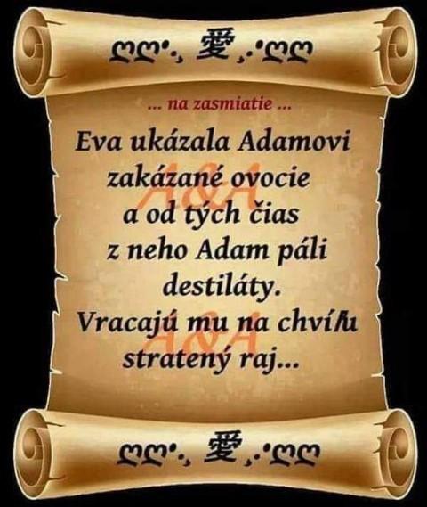 Obrázek vložený uživatelem