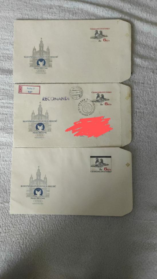 Obrázek vložený uživatelem
