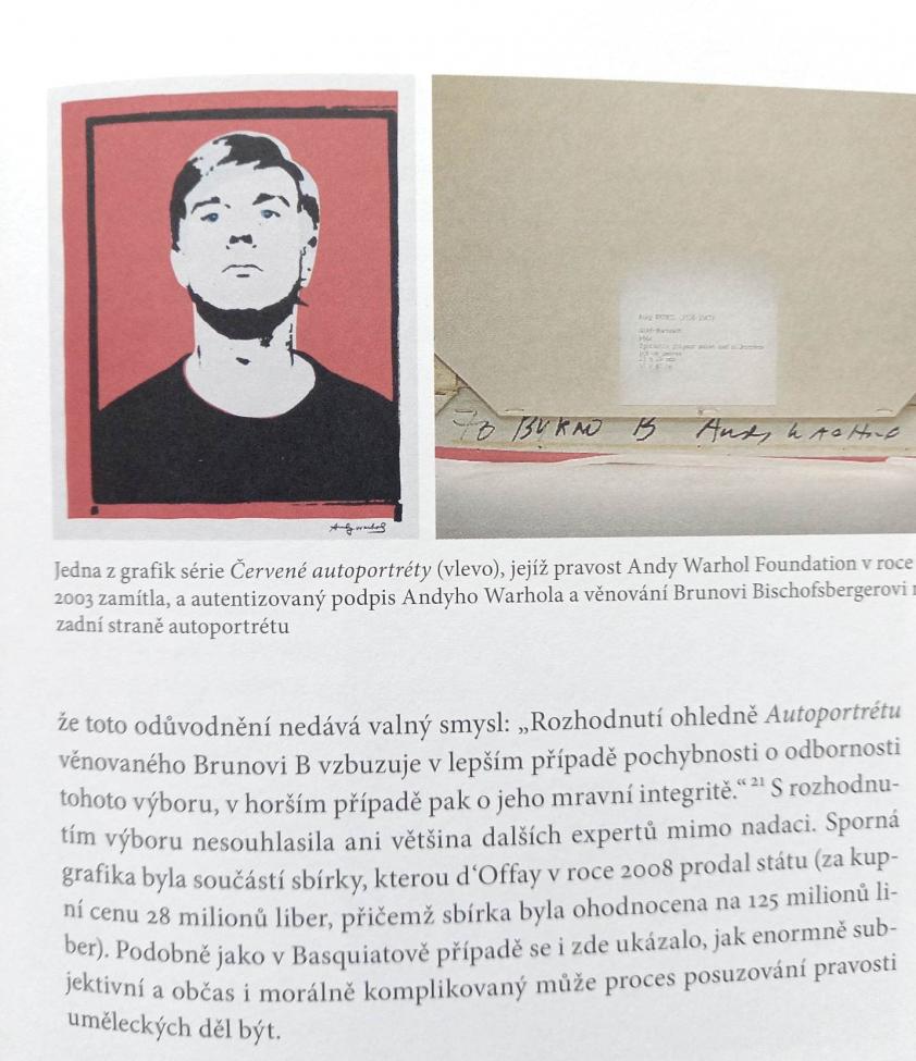 Obrázek vložený uživatelem