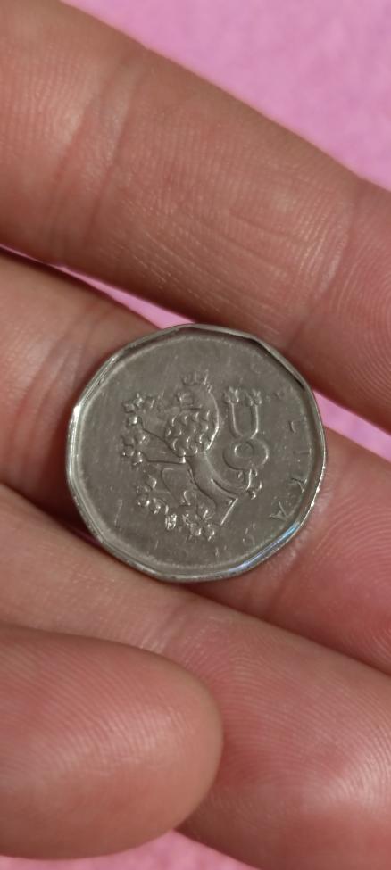 Obrázek vložený uživatelem