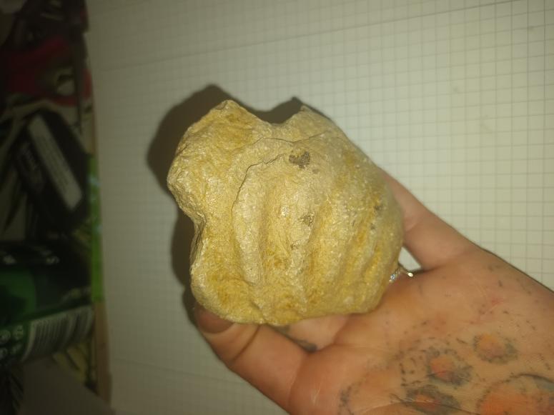 Obrázek vložený uživatelem
