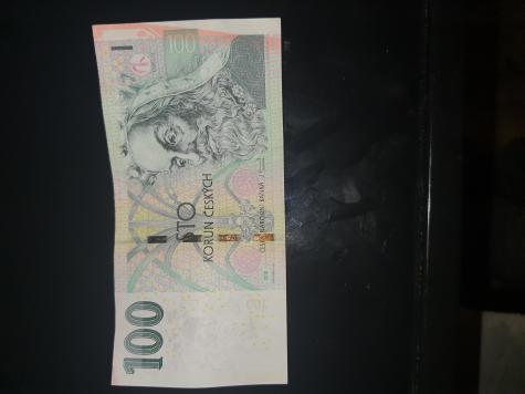Obrázek vložený uživatelem