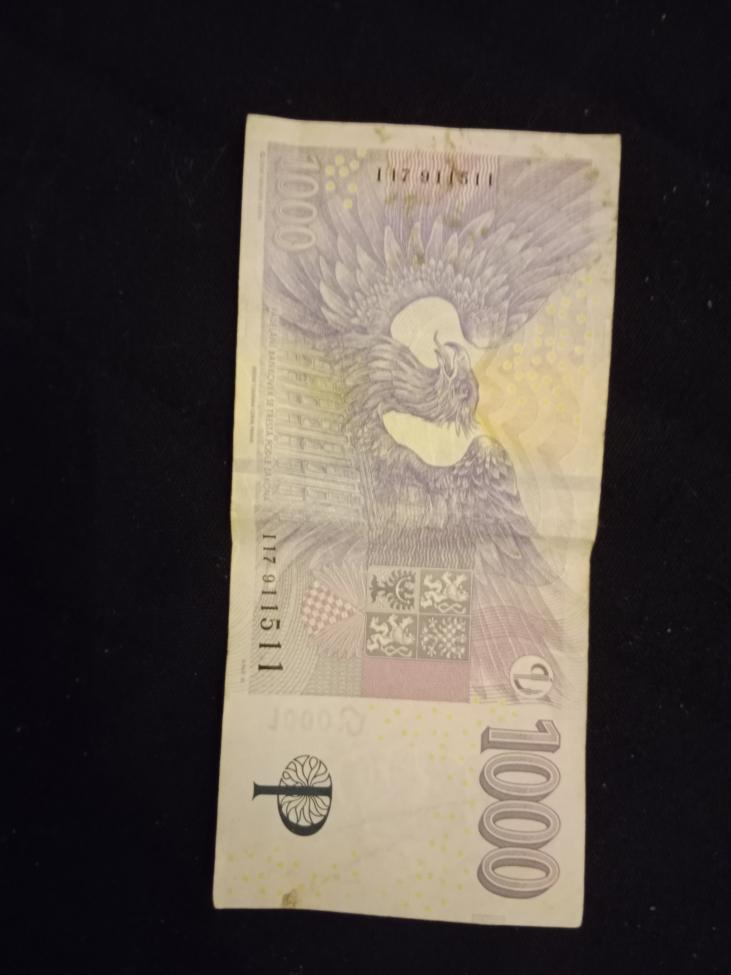 Obrázek vložený uživatelem