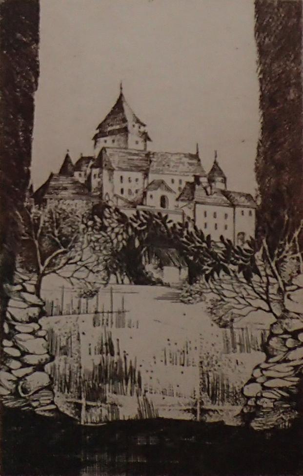 Obrázek vložený uživatelem