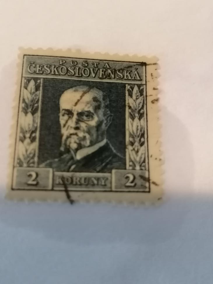 Obrázek vložený uživatelem