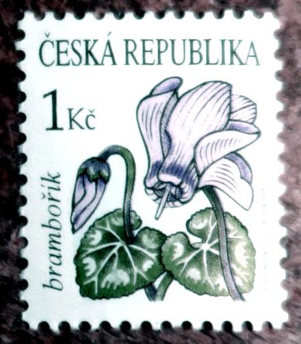 Obrázek vložený uživatelem