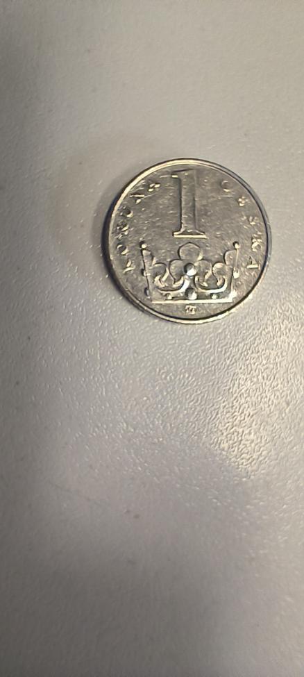 Obrázek vložený uživatelem