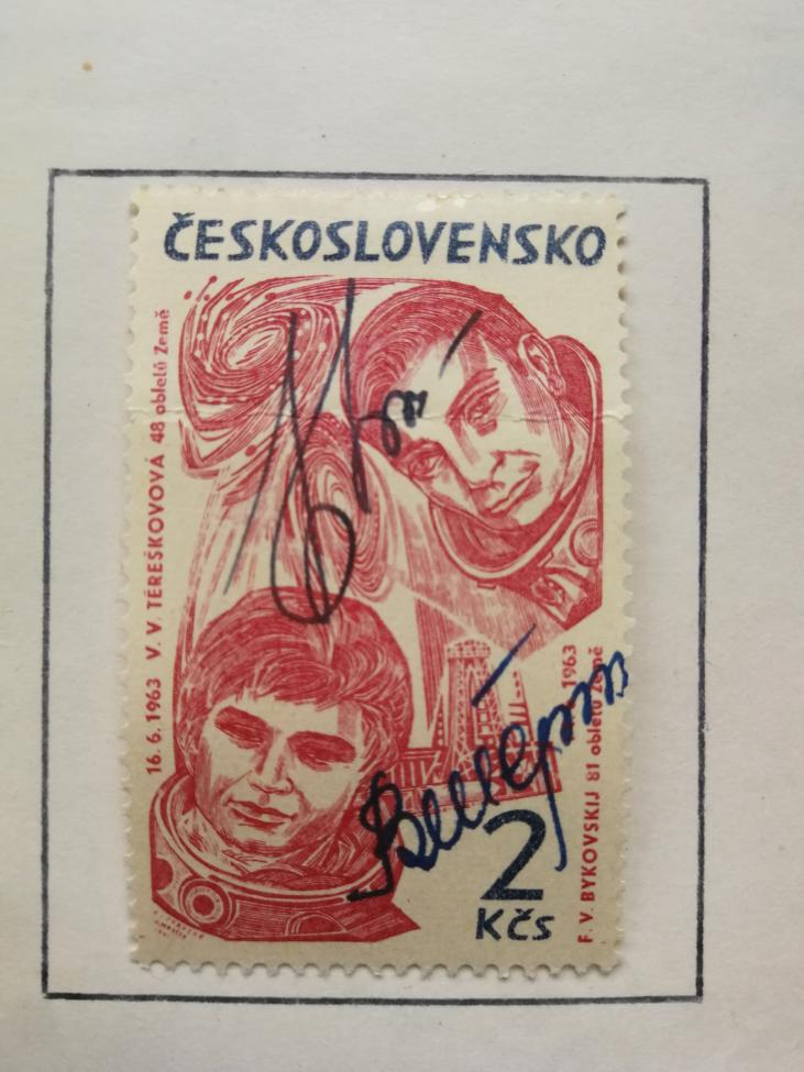 Obrázek vložený uživatelem