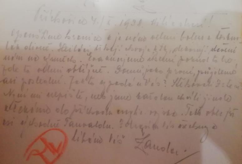 Obrázek vložený uživatelem