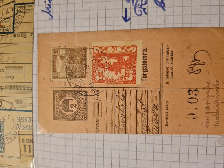 Obrázek vložený uživatelem