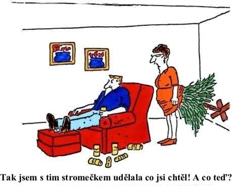 Obrázek vložený uživatelem