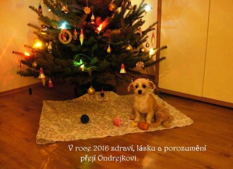 Obrázek vložený uživatelem