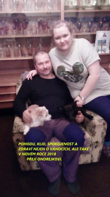 Obrázek vložený uživatelem