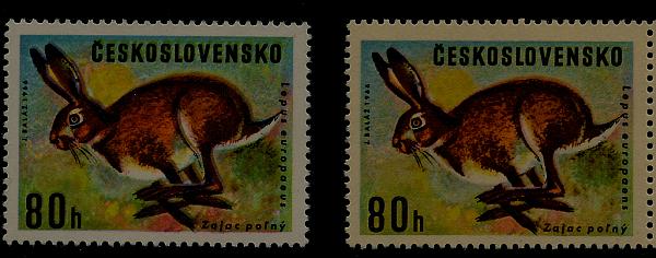 Obrázek vložený uživatelem