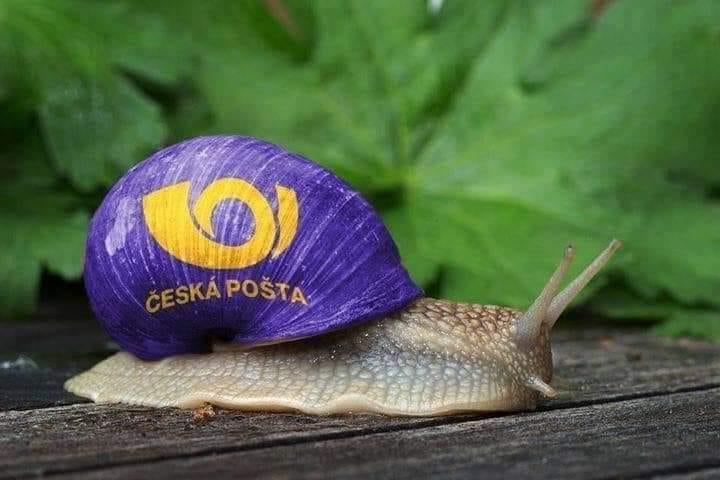 Obrázek vložený uživatelem
