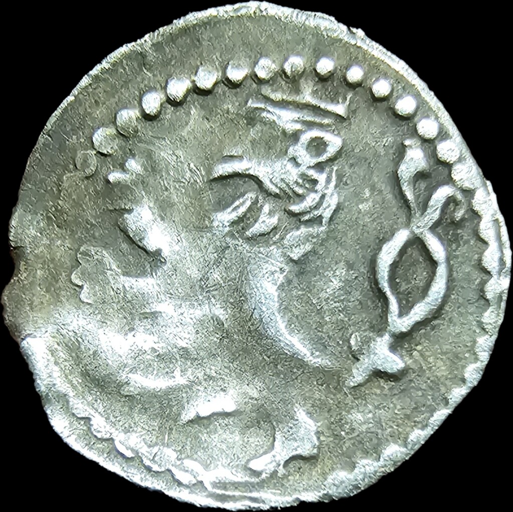 Korunní parvus Václava II